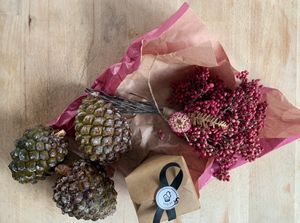 Weihnachts-Deko "Natur pur": einfach schön und günstig