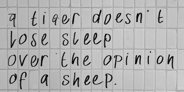 Remodeling Gäste-WC: quick & dirty